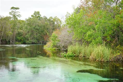 Weeki Wachee Springs State Park Stock Photo - Image of colorful, attract: 101661162