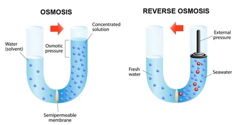 Reverse Osmosis Diagram