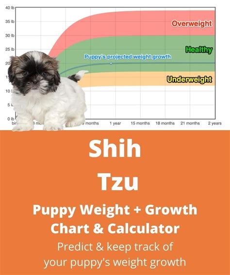 How big will your Shih Tzu puppy grow into? in 2021 | Shih tzu puppy, Shih tzu, Dog weight chart