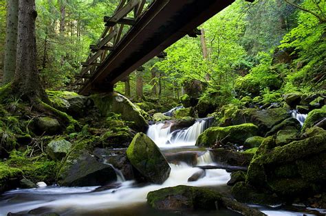 HD wallpaper: black forest, baden-wurttemberg, baden wurttemberg ...