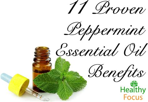 11 Proven Peppermint Essential Oil Benefits - Healthy Focus