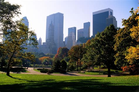 Pesticide Sprayed on New York City Parks Linked to Cancer, Study Says - Sustainable Pulse