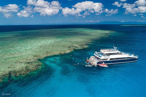 Low Isles Snorkeling Experience from Port Douglas - Klook Malaysia