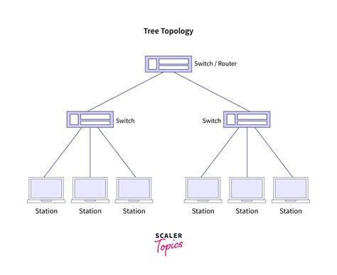 Tree Topology | Hot Sex Picture