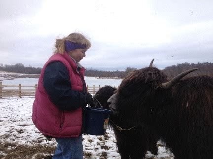 winter yak feeding small | Whiskey Hill Farm