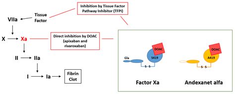 Biomedicines | Free Full-Text | Updates in Anticoagulation Therapy ...