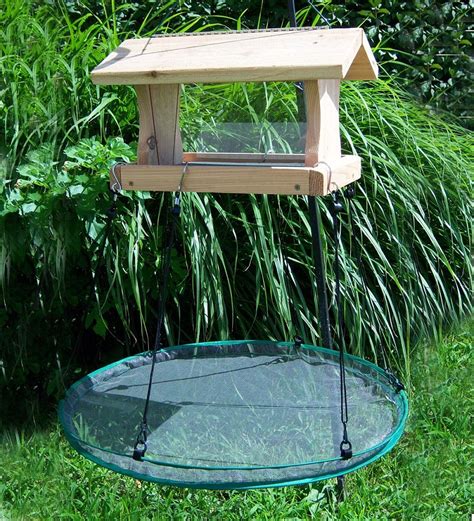 9 of the Best Platform Bird Feeders Plus Tips to Keep Them in Top Shape