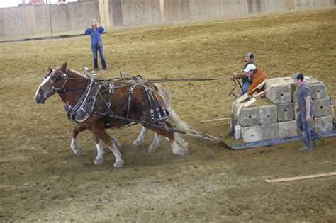 Horse Pull - Topsfield Fair Timeline