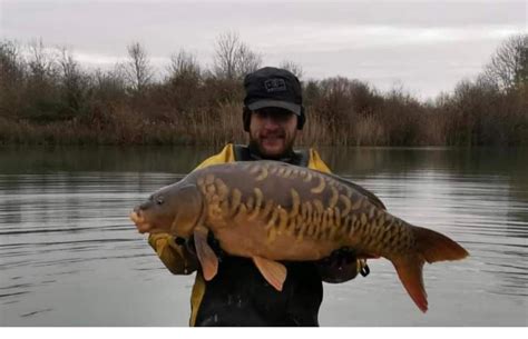 Huge mirror carp grows 20lb in 2 years to set new Linear Fisheries Tar ...