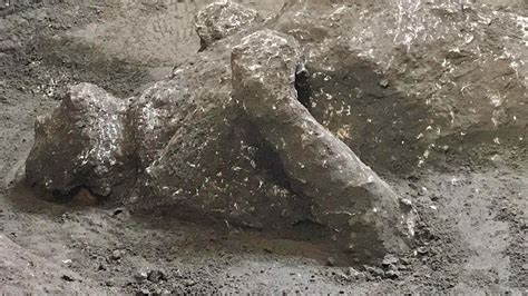 Pompeii eruption remains discovered in ancient ruins | World News | Sky News