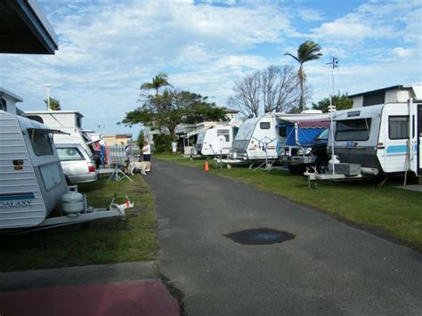 Military Jetty Caravan Park | Dog Friendly Camping in Caloundra | Pupsy