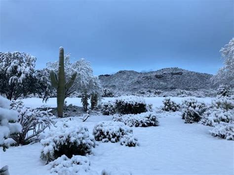 A bunch of photos of today's snow across Tucson ️💕 | tucson life | tucson.com