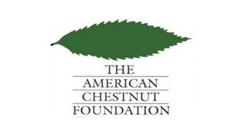 The American Chestnut Foundation - Alchetron, the free social encyclopedia