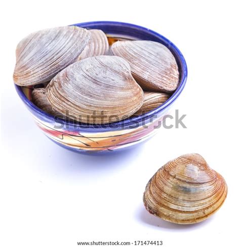 1,742 Bar Clam Images, Stock Photos & Vectors | Shutterstock