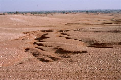 the use of evidence from the soil mainly soil degradation and from plants growing on the soil ...