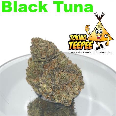 Black Tuna strain bulk oz sale