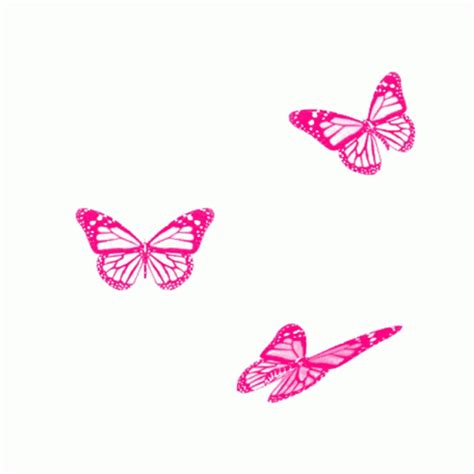 Butterfly Gif, Apple Picture, Photo Frame Design, Neon Room, Pin On, Png, Printable Planner ...