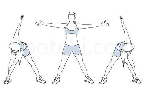 Bent Over Twist | Illustrated Exercise Guide