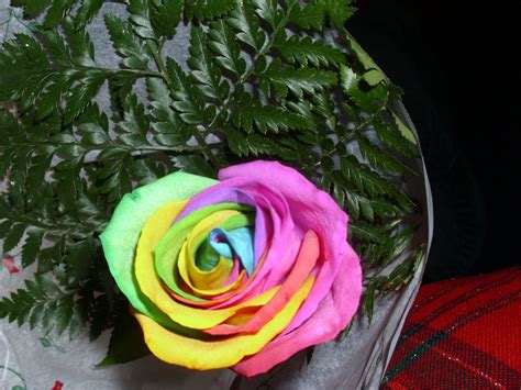 tie-dye rose | Tie dye roses