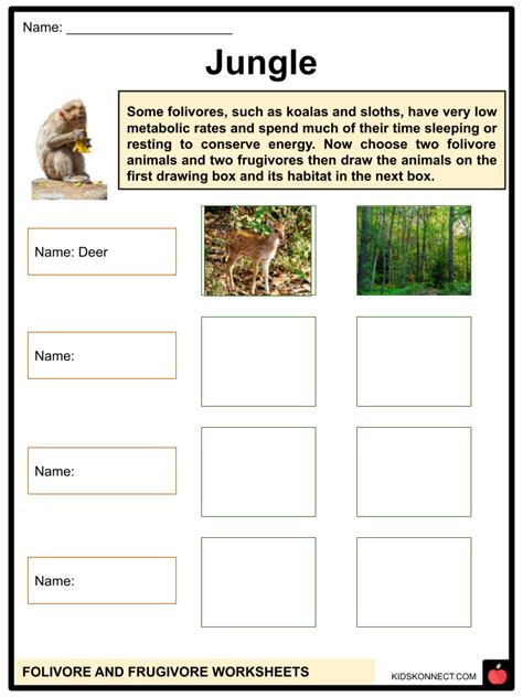 Folivore and Frugivore Facts & Worksheets | Description, Examples