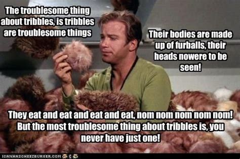 The Troublesome Thing about Tribbles | Star trek funny, Star trek ...