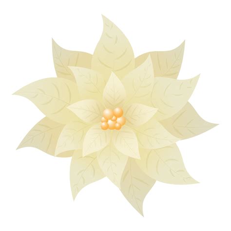 Realistic White Poinsettia Flower Background. 23295733 Vector Art at Vecteezy