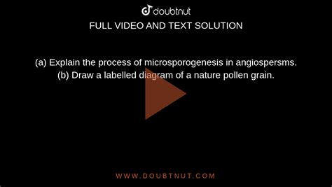 (a) Explain the process of microsporogenesis in angiospersms. (b) Dr