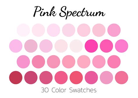 Pink Spectrum, Color Swatches, Color Palette, iPad - Etsy