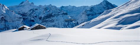 Ski Grindelwald | A Top Swiss Destination | Ski.com