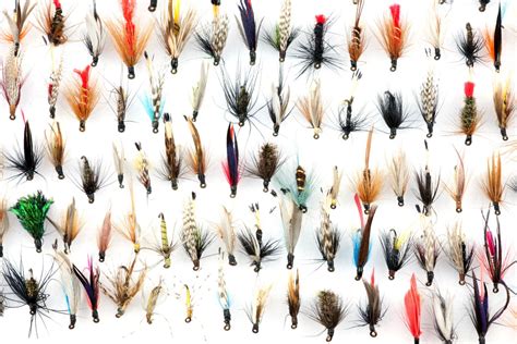 15 Best Trout Flies: A Guide To Productive Trout Patterns - Into Fly ...