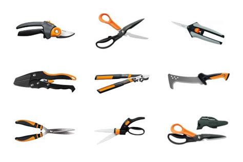 How to Choose the Right Pruning Tool for Your Garden Jobs | Empress of Dirt