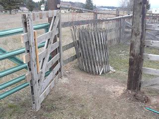 Life among the Tall Pines: Loading corral gate