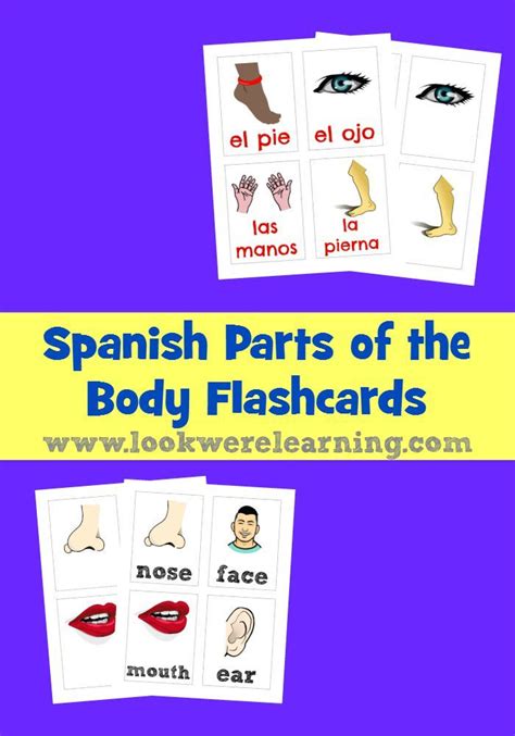 Spanish Parts of the Body Flashcards - Store - Look! We're Learning!