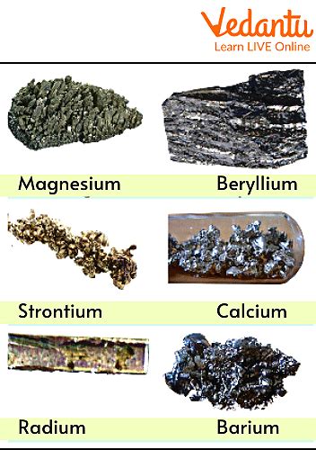 Uses of Alkaline Earth Metals | Learn Important Terms and Concepts