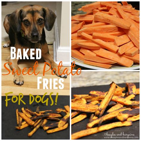 5 Ways to Use Leftover Sweet Potato in Dog Treats - Kol's Notes