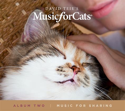 CD of Music for Cats Album Two | MusicforCats