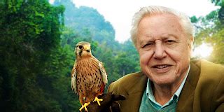 THE GRANDMA'S LOGBOOK ---: DAVID FREDERICK ATTENBOROUGH, THE VOICE OF THE BBC