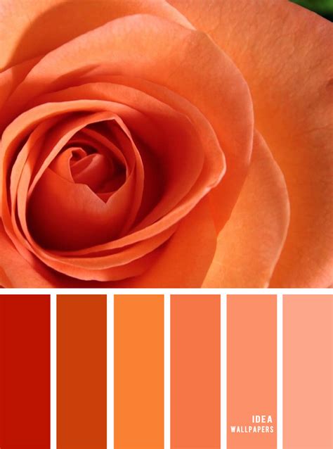 Colour Inspiration : Orange and peach color palette - Idea Wallpapers ...