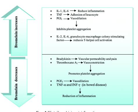 Effect of bromelain in acute inflammation. | Download Scientific Diagram