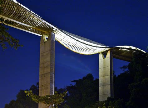 hjtann photo blog: Henderson Waves Bridge