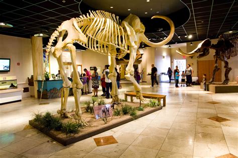 The Top Museums in Phoenix