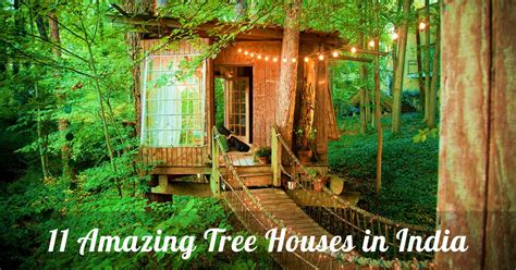 11 Amazing Tree Houses in India: Treat for your younger self!