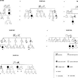 Segregation of RPGR mutations in six XLRP families. a) family XLRP-192... | Download Scientific ...