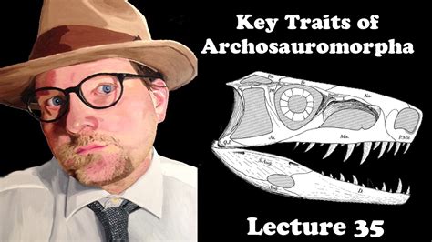 Lecture 35 Key Traits of Archosauromorpha: A new group of Diapsid Reptiles - YouTube