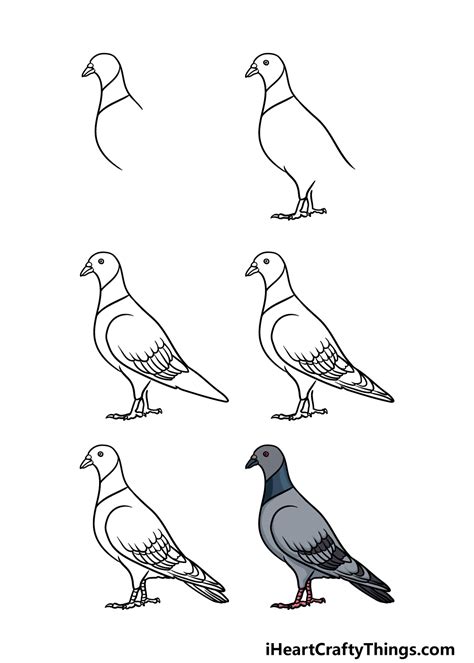 How To Draw The Pigeon - Resolutionrecognition4