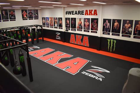 Best Training Mats for Striking and Standup Martial Arts