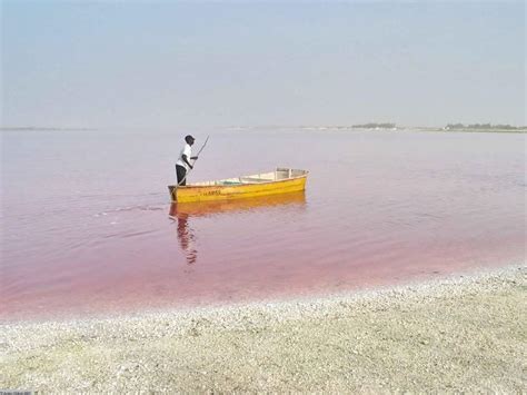 Amazing Pink Salt Lake in Senegal