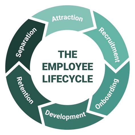 The 6 phases of the employee lifecycle | easyfeedback