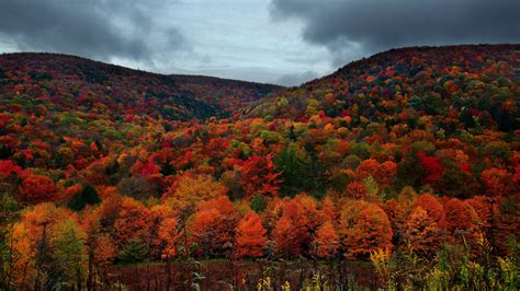 Autumnal Cloudy Wallpapers - Wallpaper Cave