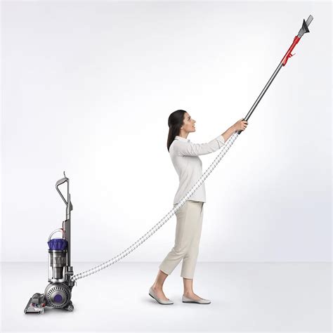 Questions and Answers: Dyson Ball Animal Upright Vacuum with 4 accessories Iron/Purple 216041-01 ...